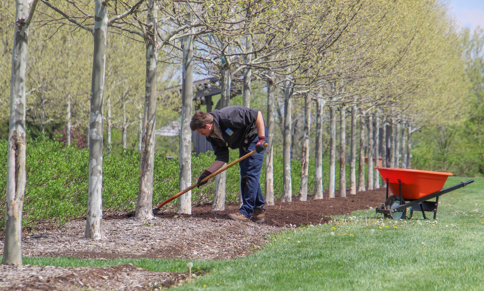 Landscape Construction
