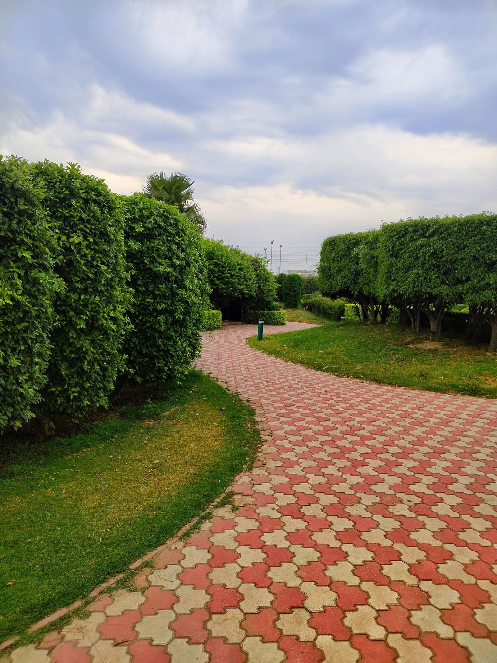 Landscaping Project 7