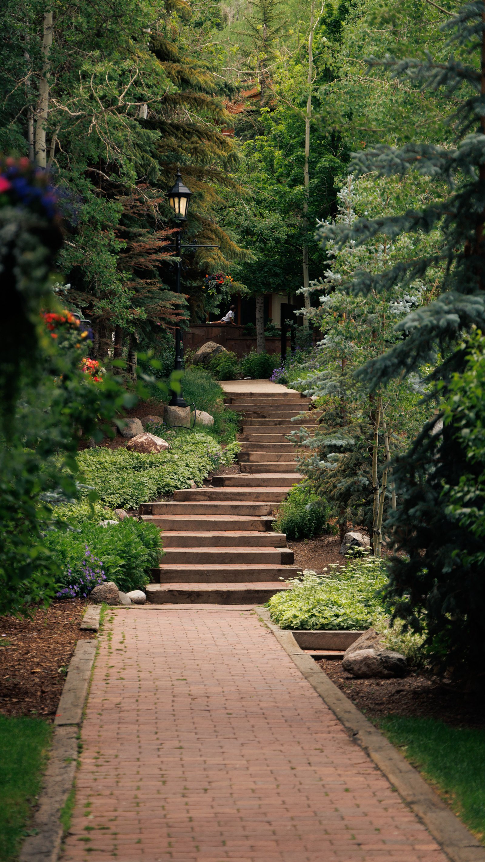 Landscaping Project 8